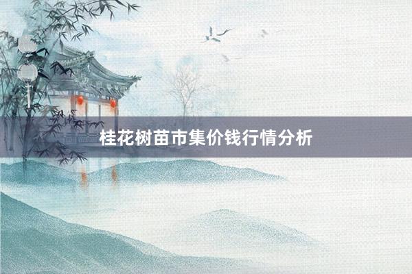 桂花树苗市集价钱行情分析